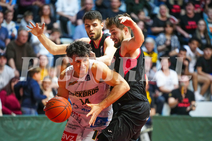 Basketball 2. Liga 2022/23, Finale Spiel 2, Guessing Blackbirds vs. Mistelbach Mustangs


