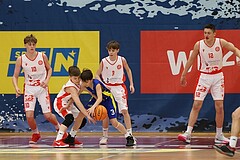 Basketball Superliga 2024/25, SLMU14 Traiskirchen Lions Academy vs. UBSC Juniors


