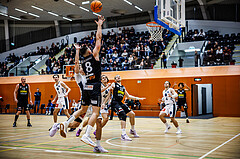 Basketball, Basketball Zweite Liga 2024/25, Grunddurchgang 11.Runde, Vienna Timberwolves, Mattersburg Rocks, Petar Zivkovic (8)