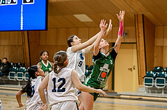 09.03.2025 Österreichischer Basketballverband 2024/25, SLWU16 Vienna Timberwolves vs. UBI Graz