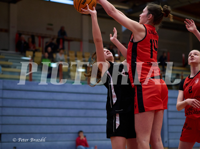 Basketball Superliga 2024/25, SLWU16 Traiskirchen Lionesses vs. BBC Nord Dragons


