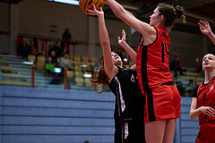 Basketball Superliga 2024/25, SLWU16 Traiskirchen Lionesses vs. BBC Nord Dragons


