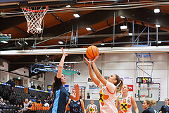 Basketball Damen Supercup 2024/25, 4.Runde BK Duchess Klosterneuburg vs. Vienna Timberwolves


