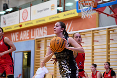 Basketball Superliga 2024/25, SLMU16 Traiskirchen Lionesses vs. VKL Vikings Kammer


