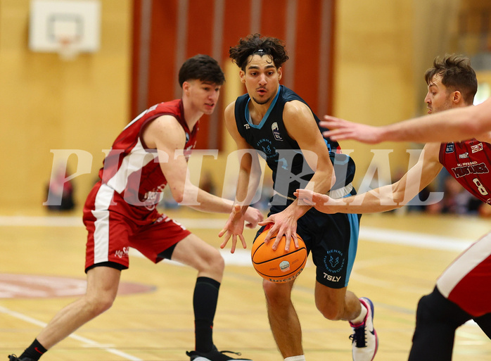 Basketball Zweite Liga 2024/25, Grunddurchgang 15.Runde Mistelbach Mustangs vs. Vienna Timberwolves