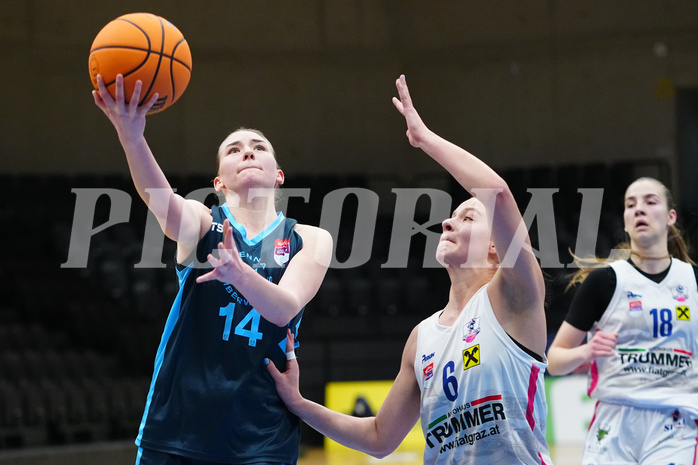 Basketball Damen Superliga 2023/24, Grunddurchgang, 14. Runde, UBSC Graz vs. Timberwolves


