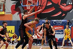 Basketball Zweite Liga 2024/25, Grunddurchgang 22.Runde Traiskirchen Lions NextGen vs. Mistelmach Mustangs


