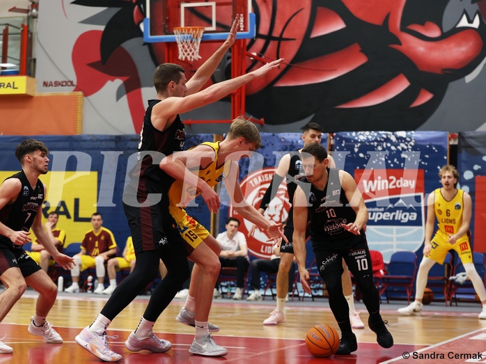 Basketball Zweite Liga 2024/25, Grunddurchgang 22.Runde Traiskirchen Lions NextGen vs. Mistelmach Mustangs