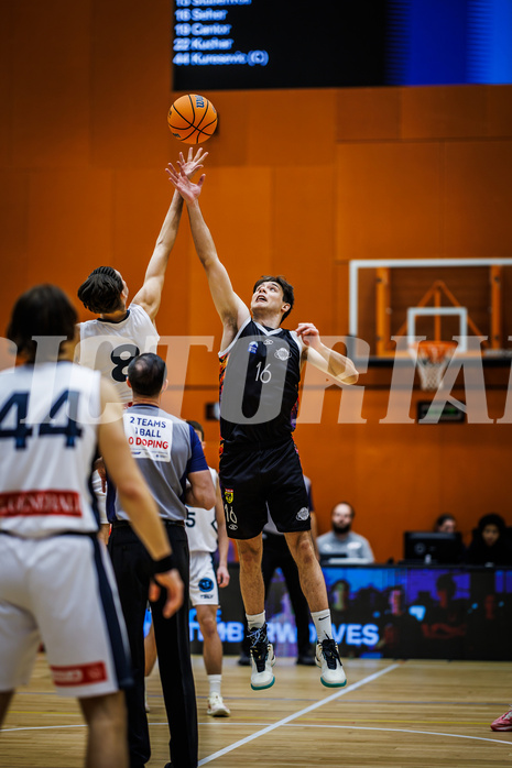 Basketball, Basketball Zweite Liga 2024/25, Grunddurchgang 3.Runde, Vienna Timberwolves, Vienna United, Vincent Balau (8), Mathias Mailath-Pokorny (16)