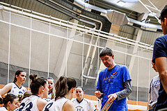 Basketball, Win2Day Basketball Damen Superliga 2024/25, Grunddurchgang 10.Runde, Vienna Timberwolves, UBSC DBBC Graz, Hubert Schmidt (Head Coach)