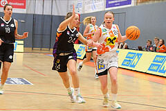 Basketball Damen Superliga 2023/24, Grunddurchgang Spiel 5 BK Duchess Klosterneuburg vs. Vienna United



