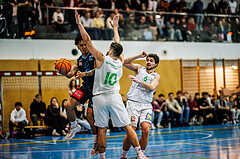 Basketball, Basketball Zweite Liga 2024/25, Grunddurchgang 13.Runde, UDW Alligators, Vienna Timberwolves, Dean-Leon Cantor (19), Daniel Schuch (10)