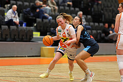 Basketball Damen Supercup 2024/25, 4.Runde BK Duchess Klosterneuburg vs. Vienna Timberwolves


