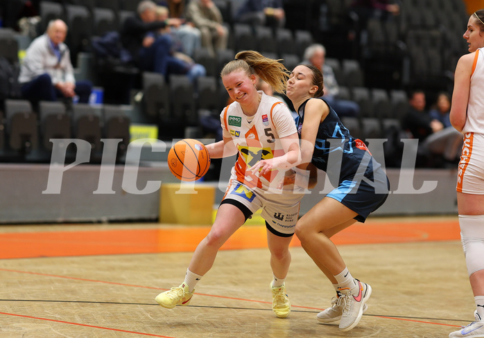 Basketball Damen Supercup 2024/25, 4.Runde BK Duchess Klosterneuburg vs. Vienna Timberwolves


