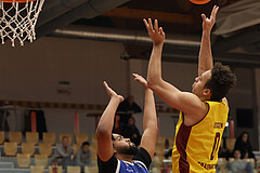 Basketball Zweite Liga 2024/25, Grunddurchgang 1.Runde Traiskirchen Lions NextGen vs. Kufstein Towers


