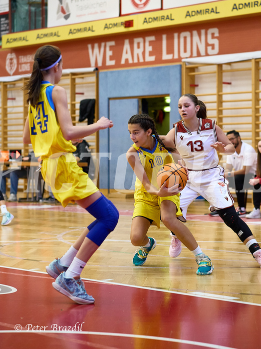Basketball Superliga 2024/25, SLWU16 Traiskirchen Lionesses vs. UBBC Herzogenburg


