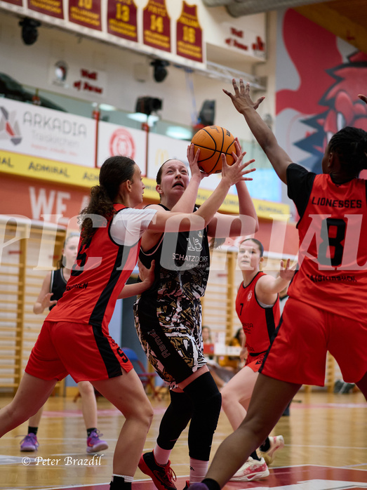 Basketball Superliga 2024/25, SLMU16 Traiskirchen Lionesses vs. VKL Vikings Kammer


