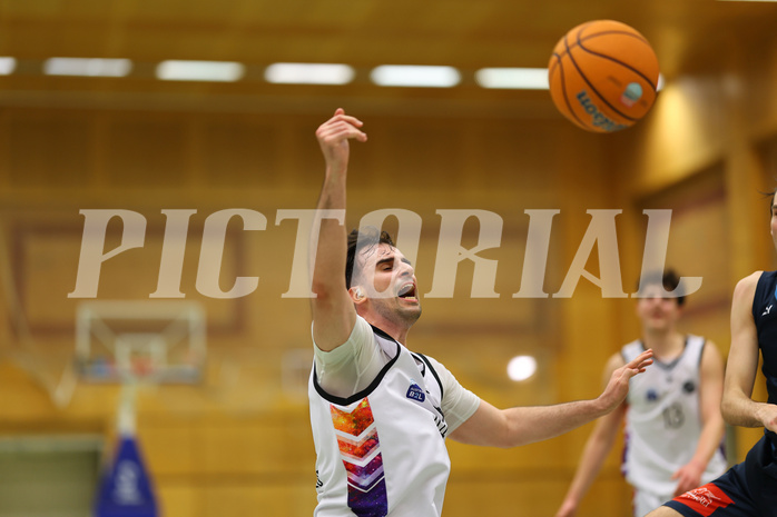 Basketball Zweite Liga 2024/25, Grunddurchgang 22.Runde Vienna United vs. Vienna Timberwolves


