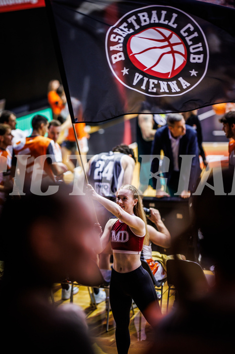 Basketball, Win2Day Superliga 2024/25, Grunddurchgang 7.Runde, BC Vienna, Klosterneuburg Dukes, Cheerleader