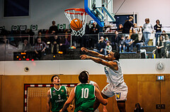 Basketball, Basketball Zweite Liga 2024/25, Grunddurchgang 16.Runde, UDW Alligators, KOS Celovec, Steven Kaltenbrunner (8)