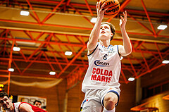 Basketball, win2day Basketball Superliga 2023/224, Grunddurchgang Runde 22, BBC Nord Dragonz, BC Vienna, Valentin Pasterk (6)