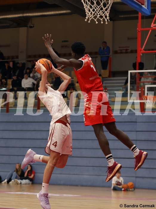 Basketball Superliga 2024/25, SLMU16 Traiskirchen Lions vs. BC Vienna



