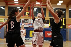 Basketball Superliga 2024/25, SLWU14 Traiskirchen Lionesses vs. ATUS Gratkorn Scorpions


