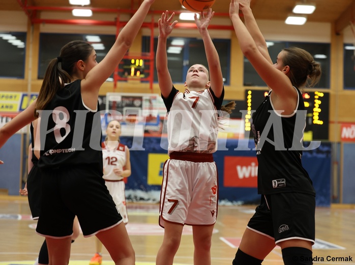 Basketball Superliga 2024/25, SLWU14 Traiskirchen Lionesses vs. ATUS Gratkorn Scorpions



