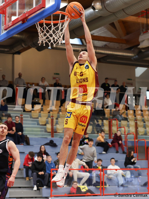 Basketball Zweite Liga 2024/25, Grunddurchgang 16.Runde Traiskirchen Lions NextGen vs. Vienna United