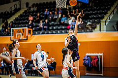 Basketball, Win2Day Basketball Damen Superliga 2023/24, Grunddurchgang 12.Runde, Vienna Timberwolves, Vienna United, Oryna Bolotnikova (26)