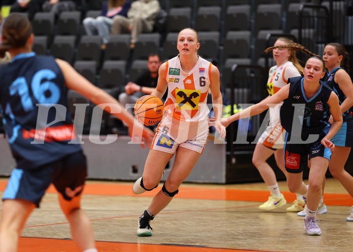 Basketball Damen Supercup 2024/25, 4.Runde BK Duchess Klosterneuburg vs. Vienna Timberwolves


