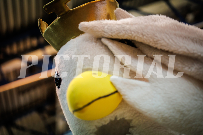 Basketball, Basketball Austria Cup 2022/23, Halbfinale 1, Oberwart Gunners, Gmunden Swans, #mascot