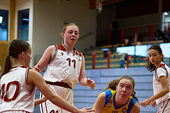 Basketball Superliga 2024/25, SLWU16 Traiskirchen Lionesses vs. UBBC Herzogenburg


