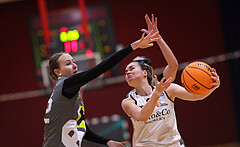 Basketball Damen Superliga 2023/24, Grunddurchgang, 13 Runde Basket Flames vs. Duchess Klosterneuburg


