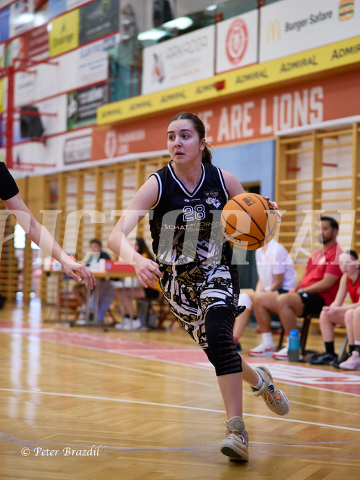 Basketball Superliga 2024/25, SLMU16 Traiskirchen Lionesses vs. VKL Vikings Kammer


