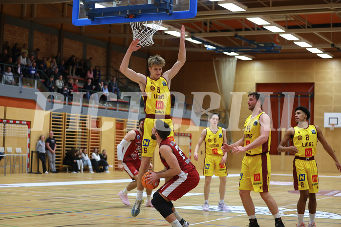 Basketball Zweite Liga 2024/25, Grunddurchgang 9.Runde Mistelbach Mustangs vs. Trasikirchen NextGen



