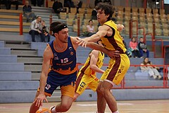 Basketball Zweite Liga 2024/25, Grunddurchgang 8.Runde Traiskirchen Lions NextGen vs. BBU Salzburg


