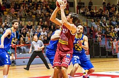 Basketball ABL 2015/16 Grunddurchgang 12.Runde Traiskirchen Lions vs. UBSC Graz