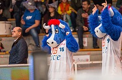 Basketball, CUP 2017 , 1/2 Finale, WBC Wels, Kapfenberg Bulls, 