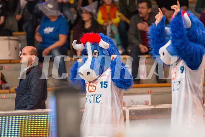 Basketball, CUP 2017 , 1/2 Finale, WBC Wels, Kapfenberg Bulls, 