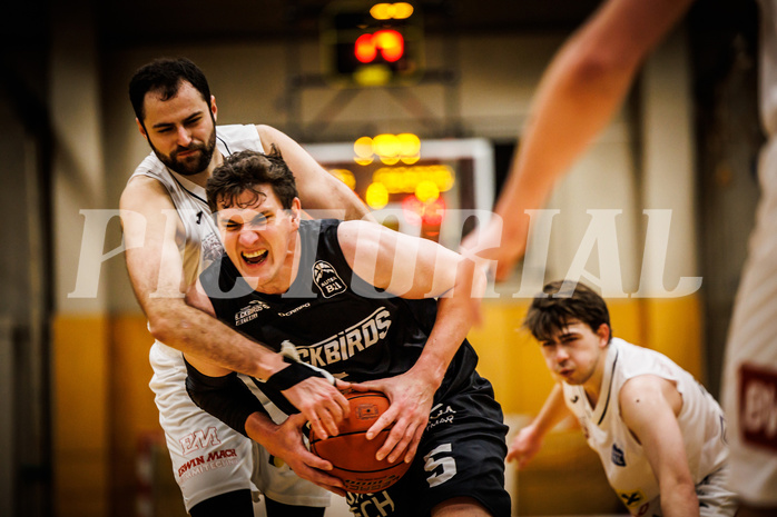 Basketball, Basketball Zweite Liga 2022/23, Grunddurchgang 15.Runde, Mattersburg Rocks, Güssing Jennersdorf Blackbirds, S. Koch (5)