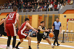 Basketball Zweite Liga 2024/25, Grunddurchgang 7.Runde Mistelbach Mustangs vs. Mattersburg Rocks


