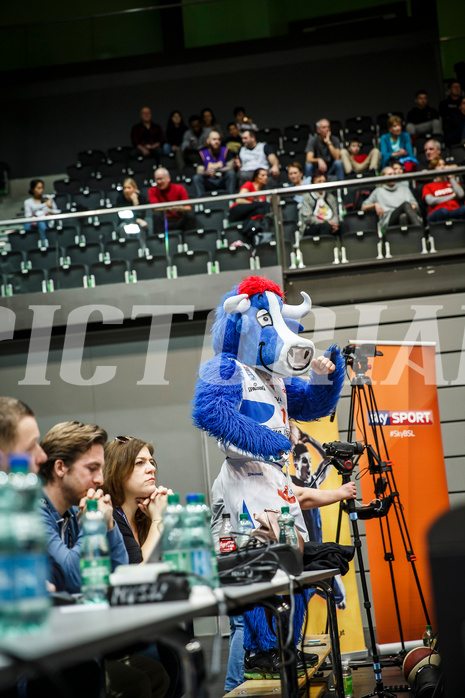 Basketball, Basketball Austria Cup 2019/20, Finale, Kapfenberg Bulls, Klosterneuburg Dukes, Bulli