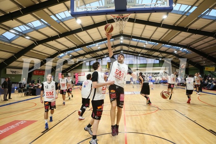 Basketball 2.Bundesliga 2016/17, Grundurchgang 16.Runde D.C. Timberwolves vs. Mattersburg Rocks


