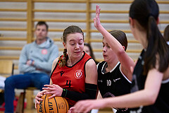 Basketball Superliga 2024/25, SLWU14 Traiskirchen Lionesses vs. Gratkorn Scorpions



