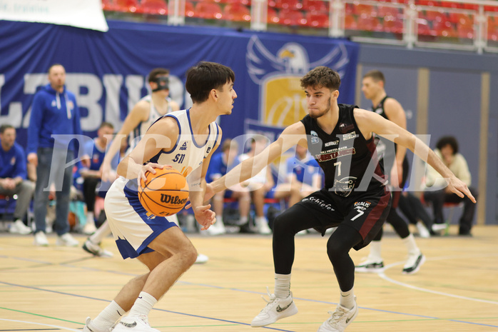 Basketball Zweite Liga 2024/25, Grunddurchgang 12.Runde BBU Salzburg vs. Mistelbach Mustangs


