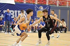 Basketball Zweite Liga 2024/25, Grunddurchgang 12.Runde BBU Salzburg vs. Mistelbach Mustangs


