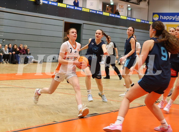 Basketball Superliga SLMU19 Basket Duchess vs. Vienna Timberwolves


