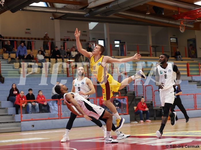 Basketball Zweite Liga 2024/25, Grunddurchgang 17.Runde Traiskirchen Lions NextGen vs. Raiders Tirol