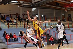 Basketball Zweite Liga 2024/25, Grunddurchgang 17.Runde Traiskirchen Lions NextGen vs. Raiders Tirol


